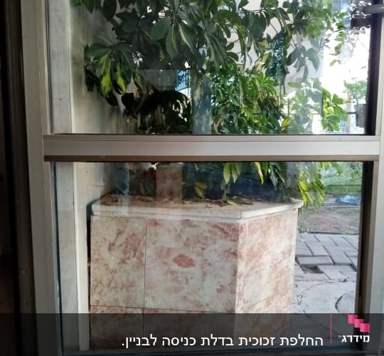 זכוכית חלון עם צמחייה ברקע